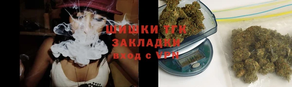 прущие грибы Алексин