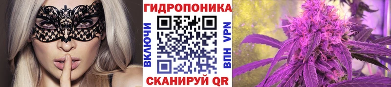 Бошки Шишки план  купить наркотики сайты  Агидель 